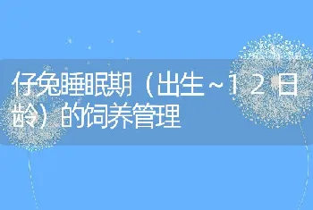 仔兔睡眠期（出生～12日龄）的饲养管理