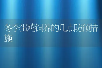 冬季蛋鸡饲养的几点防预措施