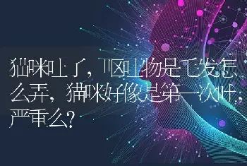 猫咪吐了，呕吐物是毛发怎么弄，猫咪好像是第一次吐，严重么？