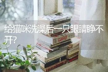 给猫咪洗澡后一只眼睛睁不开？