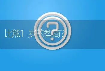 比熊1岁的智商？