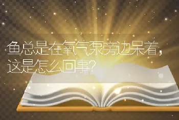 鱼总是在氧气泵旁边呆着，这是怎么回事？