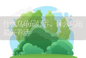 什么乌龟最好养，什么乌龟最好养活