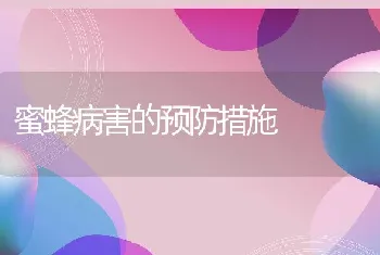 蜜蜂病害的预防措施