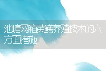 池塘网箱黄鳝养殖技术的六方面措施