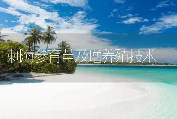 刺海参育苗及增养殖技术