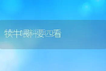 犊牛喂料要四看