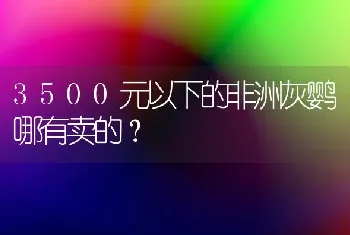 3500元以下的非洲灰鹦哪有卖的？