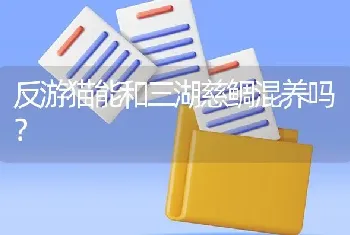 反游猫能和三湖慈鲷混养吗？