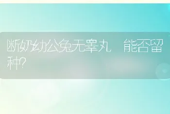 断奶幼公兔无睾丸 能否留种？