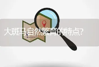 大斑马自然繁育的特点？