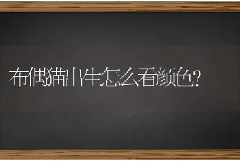 罗威纳与杜高那个更适合家养？