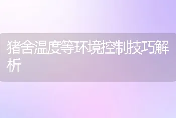 猪舍温度等环境控制技巧解析