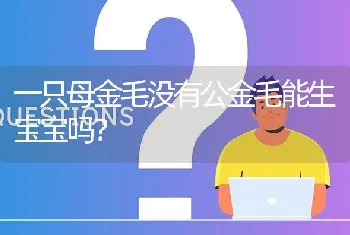 一只母金毛没有公金毛能生宝宝吗？