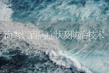 海参烂胃病症状及防治技术