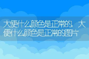 大便什么颜色是正常的，大便什么颜色是正常的图片