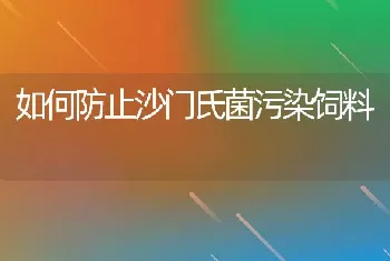 如何防止沙门氏菌污染饲料