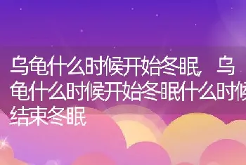 乌龟什么时候开始冬眠，乌龟什么时候开始冬眠什么时候结束冬眠