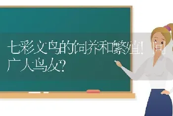 七彩文鸟的饲养和繁殖！问广大鸟友？