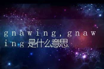 gnawing，gnawing是什么意思