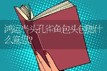 鸿运当头孔雀鱼包头包腮什么意思？