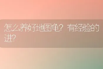 怎么养好地图龟？有经验的进？