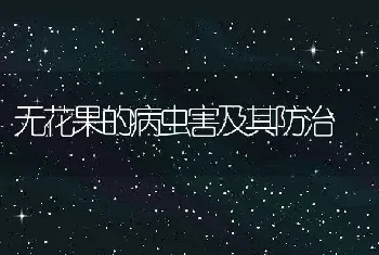 无花果的病虫害及其防治