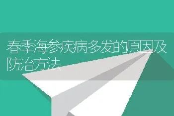 春季海参疾病多发的原因及防治方法