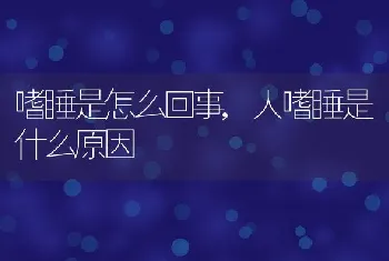 嗜睡是怎么回事，人嗜睡是什么原因