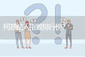 柯基粘人指数排行榜？