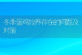 冬季蛋鸡放养存在的问题及对策