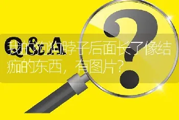 我的狗狗脖子后面长了像结痂的东西，有图片？