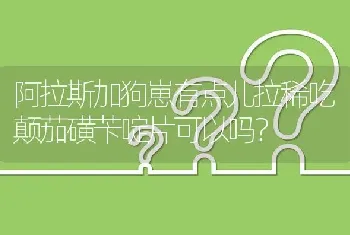 阿拉斯加狗崽有点儿拉稀吃颠茄磺苄啶片可以吗？