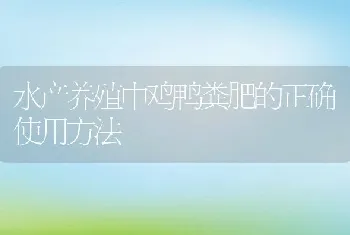 水产养殖中鸡鸭粪肥的正确使用方法