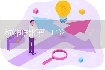 狗能吃水萝卜吗？