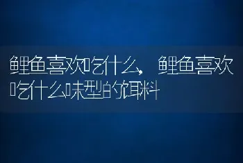 鲤鱼喜欢吃什么，鲤鱼喜欢吃什么味型的饵料