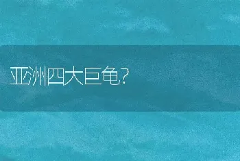 亚洲四大巨龟？