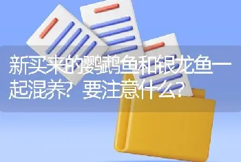 新买来的鹦鹉鱼和银龙鱼一起混养？要注意什么？