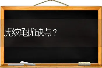 虎纹龟优缺点？