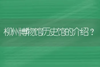 柳州博物馆历史馆的介绍？