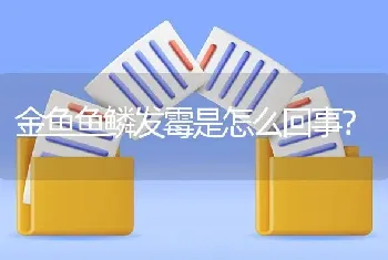 金鱼鱼鳞发霉是怎么回事？