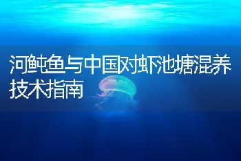 河鲀鱼与中国对虾池塘混养技术指南