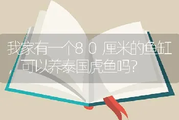 我家有一个80厘米的鱼缸，可以养泰国虎鱼吗？