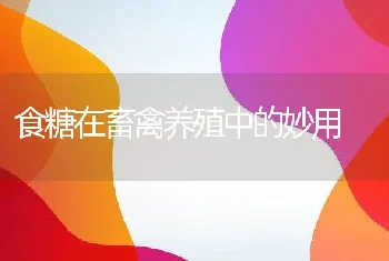 鹌鹑的繁殖技术：出雏