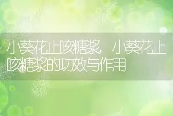 小葵花止咳糖浆，小葵花止咳糖浆的功效与作用