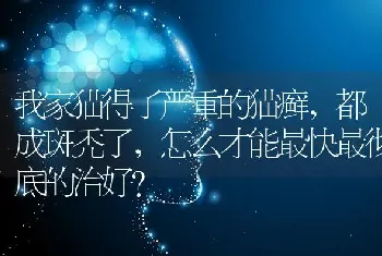 狗狗得细小过七天存活率多大？