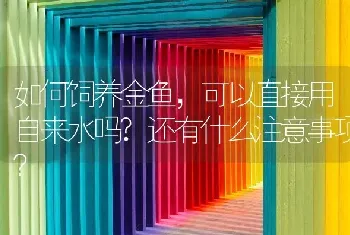 如何饲养金鱼，可以直接用自来水吗？还有什么注意事项？