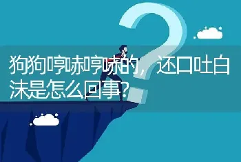 狗狗哼哧哼哧的，还口吐白沫是怎么回事？