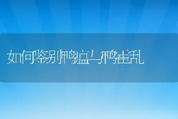 罗非鱼苗种长途运输案例