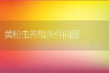 黄粉虫养殖条件问题